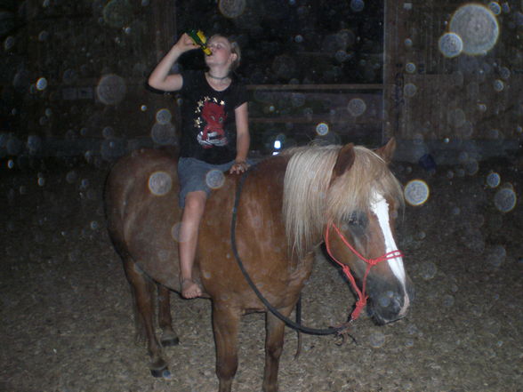horses,friends and me - 