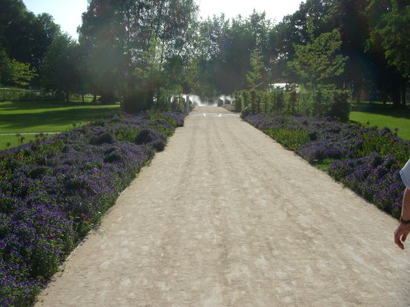 Landesgartenschau 2009 - 