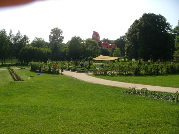 Landesgartenschau 2009 - 