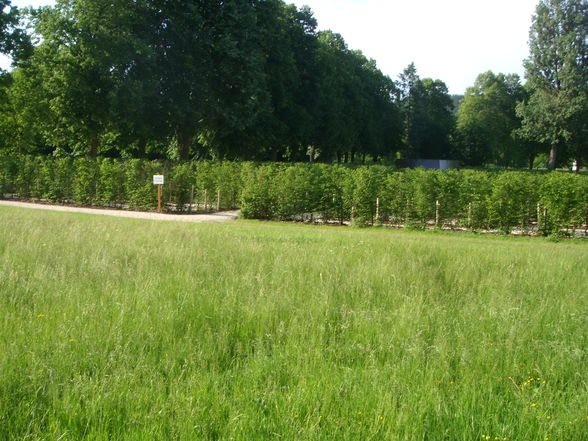 Landesgartenschau 2009 - 