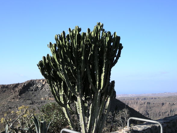 urlaub Cran Canaria - 