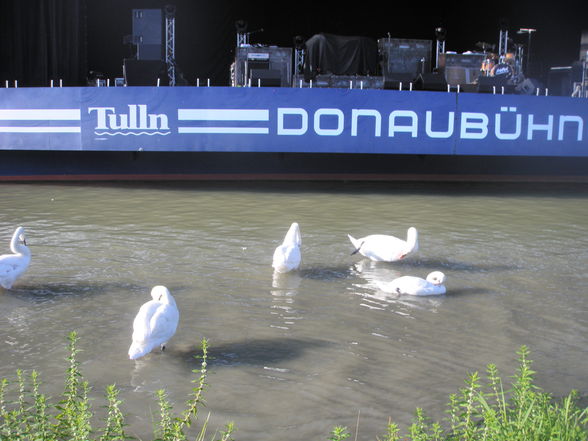 Donaubühne Tulln - 