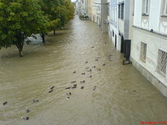 --- HoChWaSsEr --- - 