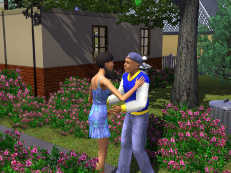 Sims 3 - 