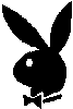 D(bunnys) - 