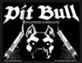 pit bull germany  - 