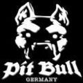 pit bull germany  - 