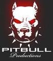 pit bull germany  - 