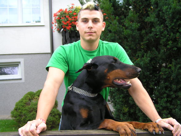 Mein Hund und ich - 