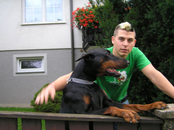 Mein Hund und ich - 