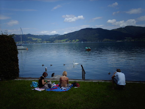 Urlaub am Attersee 2009 - 