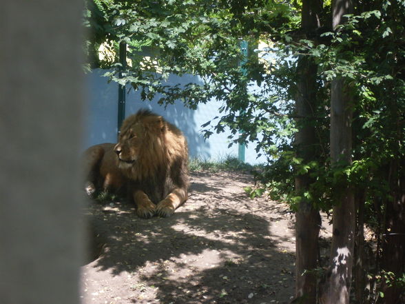 Thaha schönbrunn...xP - 