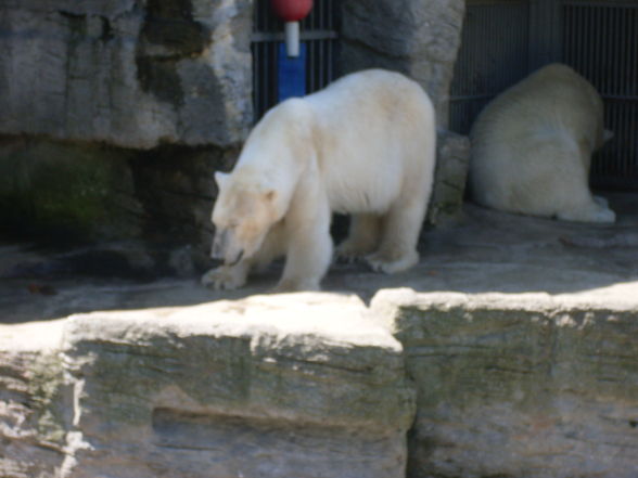 Thaha schönbrunn...xP - 