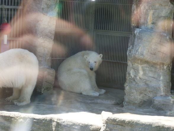 Thaha schönbrunn...xP - 