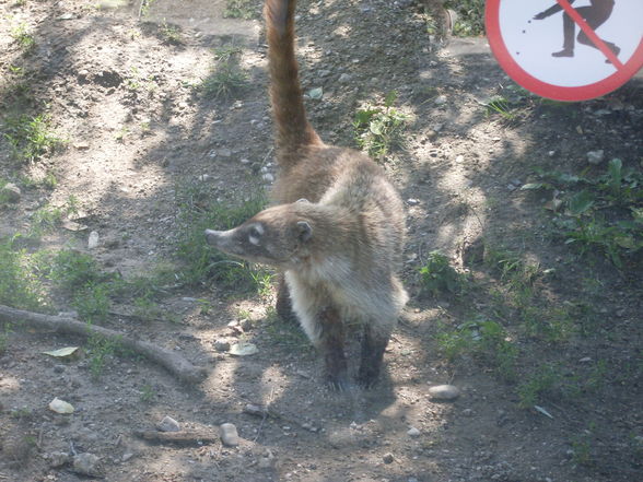 Thaha schönbrunn...xP - 