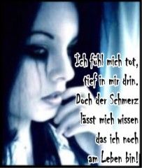 spruchbilder - 