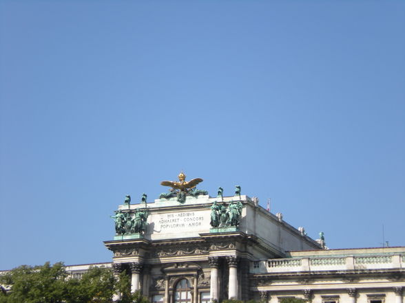 Vienna - 