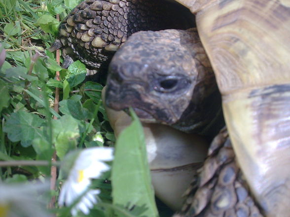 Schnuckiiiiiiiiiii - 
