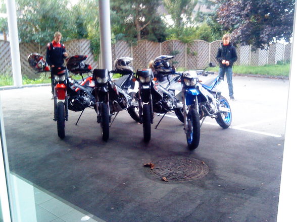 unsane moped`s..! - 