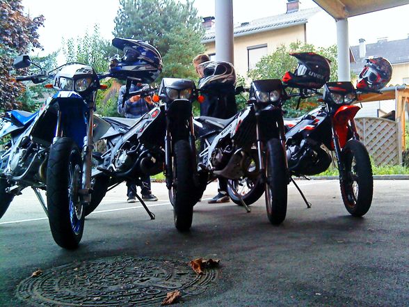 unsane moped`s..! - 