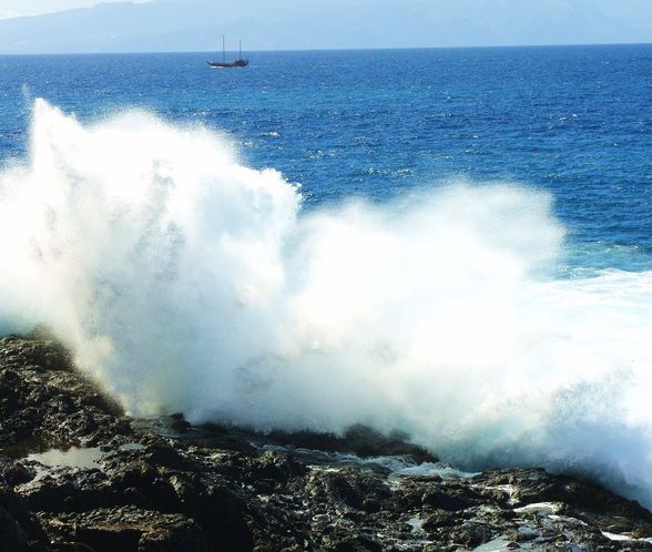 Teneriffa, Feb. 2011 - 