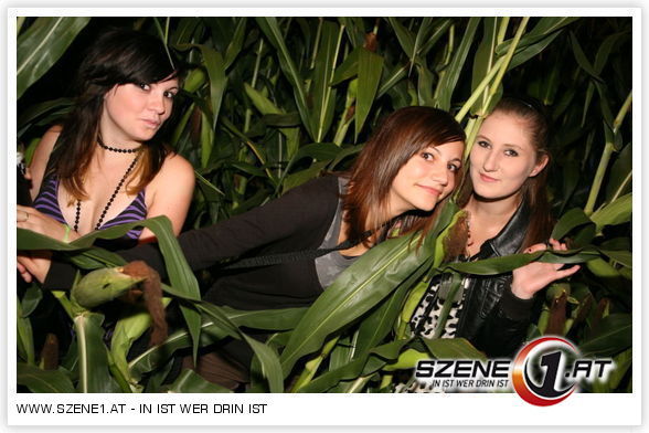 machst du heute party? - 