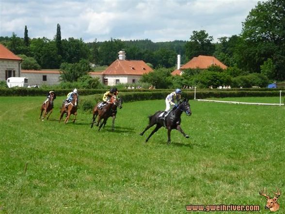 Pferderennen Schloß Kratchvil - 