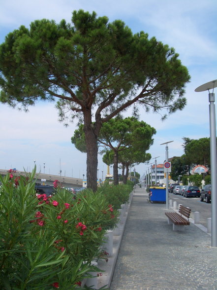 Lignano 2006 - 