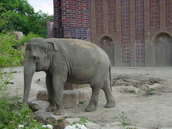 Leipzig Dresden 2005 - 