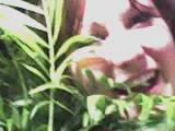 rosi, babsi, kerstin und i in the jungle - 