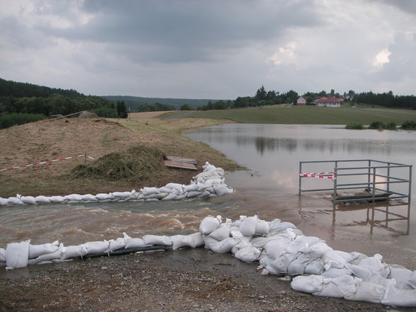 2009-06-27 Dammarbeiten Neuhaus - 