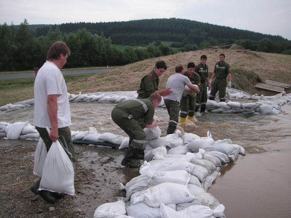 2009-06-27 Dammarbeiten Neuhaus - 