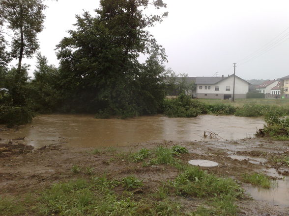 2009-06-24 Hochwasser Kotezicken - 