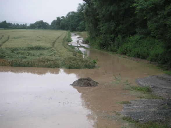 2009-06-24 Hochwasser Kotezicken - 