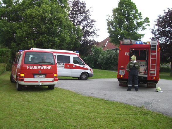 2009-06-06 Malteserübung Kohfidisch - 