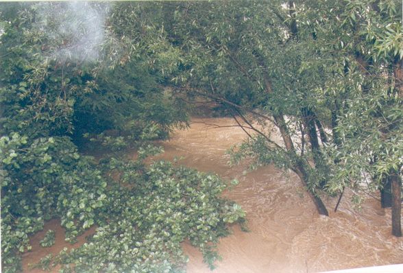 1998-06-27 Hochwasser Gemeinde - 