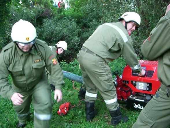 2006-08-25 Inspizierung Kotezicken - 
