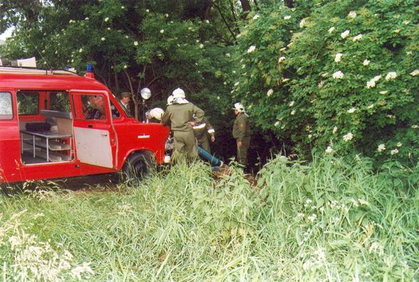2002-06-07 Inspizierung Kotezicken - 