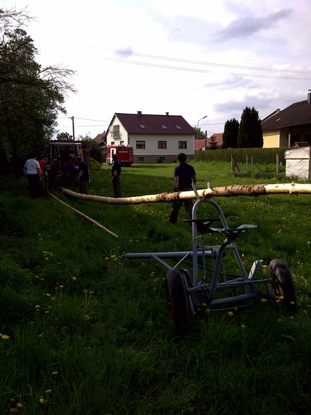 2011-04-30 Maibaumaufstellen - 