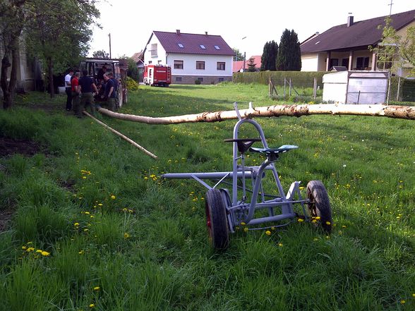 2011-04-30 Maibaumaufstellen - 