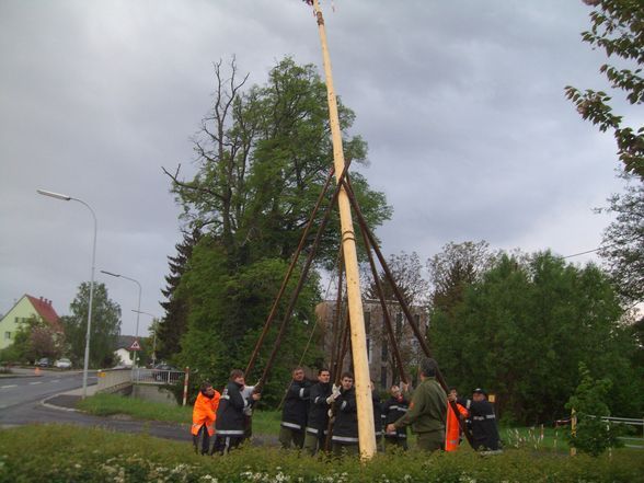 2011-04-30 Maibaumaufstellen - 