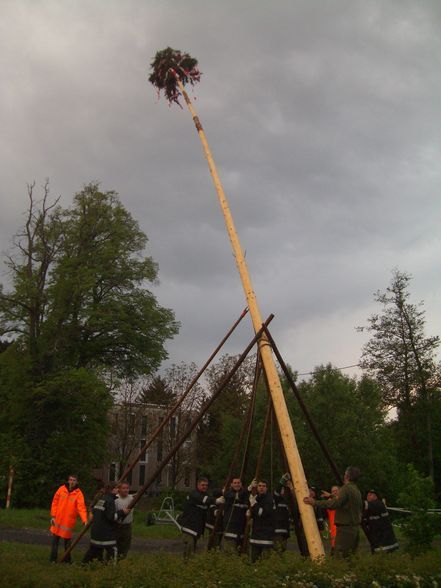 2011-04-30 Maibaumaufstellen - 