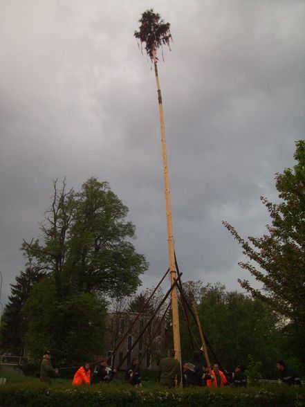 2011-04-30 Maibaumaufstellen - 