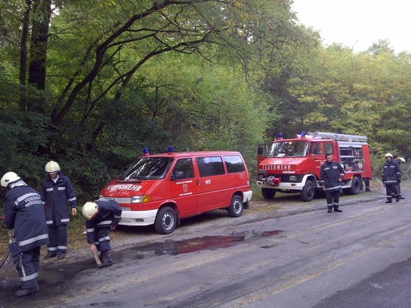 2011-10-08 Übung in Güttenbach - 