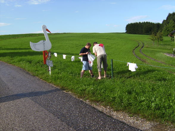 Storch aufstellen - 