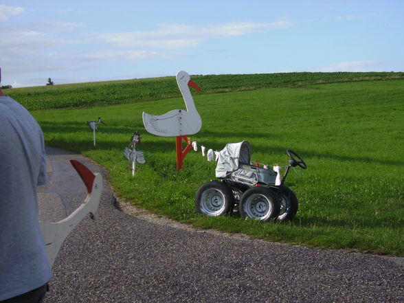 Storch aufstellen - 