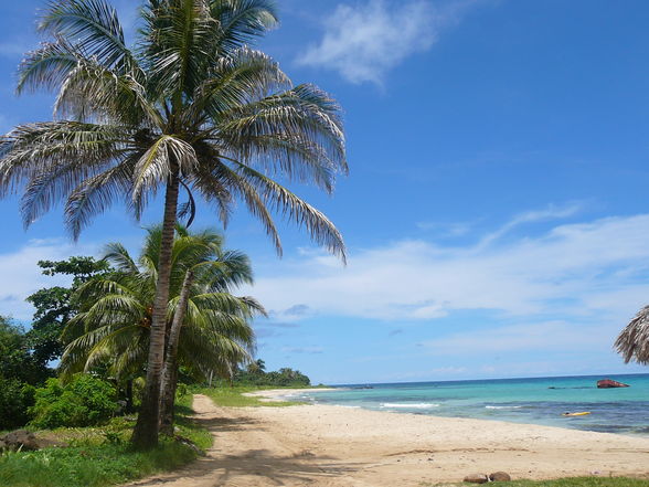 Corn Island - 