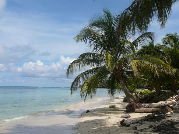 Corn Island - 