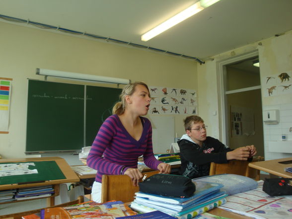 Schule - 