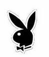 Playboy - 